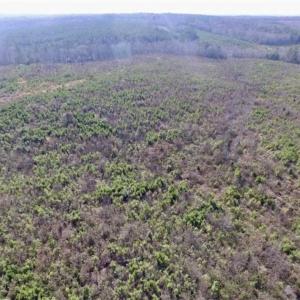 Photo of 114 acres of Recreational and Hunting Land For Sale in Lunenburg County VA!