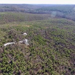 Photo of 114 acres of Recreational and Hunting Land For Sale in Lunenburg County VA!