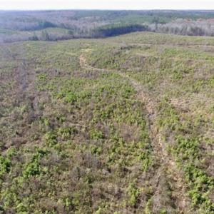 Photo of 114 acres of Recreational and Hunting Land For Sale in Lunenburg County VA!