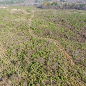 Photo of 114 acres of Recreational and Hunting Land For Sale in Lunenburg County VA!