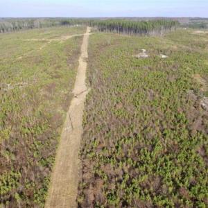 Photo of 114 acres of Recreational and Hunting Land For Sale in Lunenburg County VA!