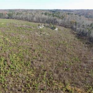 Photo of 114 acres of Recreational and Hunting Land For Sale in Lunenburg County VA!