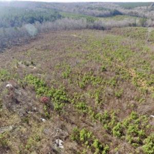 Photo of 114 acres of Recreational and Hunting Land For Sale in Lunenburg County VA!