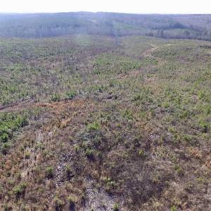 Photo of 114 acres of Recreational and Hunting Land For Sale in Lunenburg County VA!