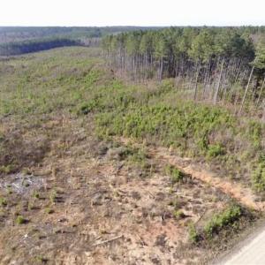 Photo of 114 acres of Recreational and Hunting Land For Sale in Lunenburg County VA!