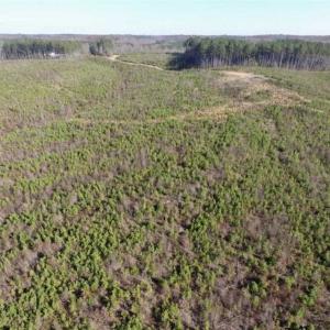 Photo of 114 acres of Recreational and Hunting Land For Sale in Lunenburg County VA!