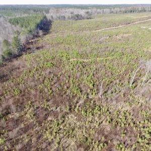 Photo of 114 acres of Recreational and Hunting Land For Sale in Lunenburg County VA!
