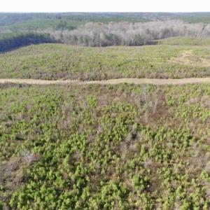 Photo of 114 acres of Recreational and Hunting Land For Sale in Lunenburg County VA!