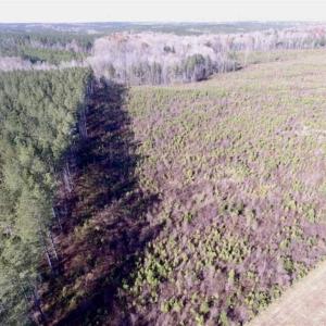 Photo of 114 acres of Recreational and Hunting Land For Sale in Lunenburg County VA!