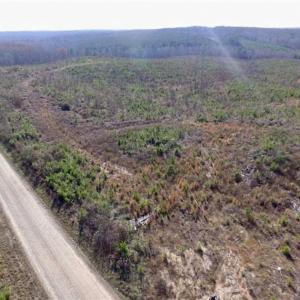 Photo of 114 acres of Recreational and Hunting Land For Sale in Lunenburg County VA!