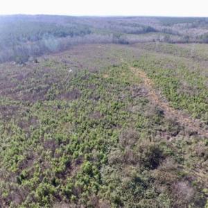 Photo of 114 acres of Recreational and Hunting Land For Sale in Lunenburg County VA!