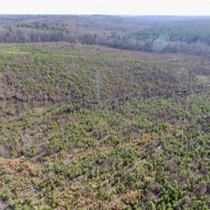 Photo of 114 acres of Recreational and Hunting Land For Sale in Lunenburg County VA!