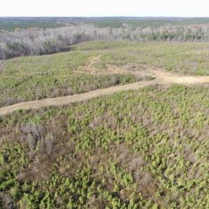 Photo of 114 acres of Recreational and Hunting Land For Sale in Lunenburg County VA!
