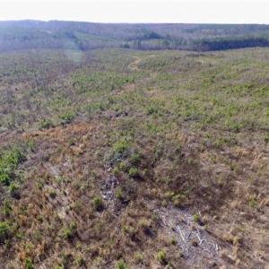 Photo of 114 acres of Recreational and Hunting Land For Sale in Lunenburg County VA!