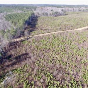 Photo of 114 acres of Recreational and Hunting Land For Sale in Lunenburg County VA!