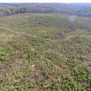 Photo of 114 acres of Recreational and Hunting Land For Sale in Lunenburg County VA!