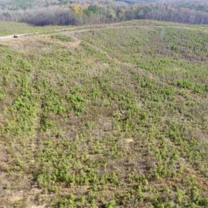 Photo of 114 acres of Recreational and Hunting Land For Sale in Lunenburg County VA!