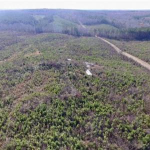 Photo of 114 acres of Recreational and Hunting Land For Sale in Lunenburg County VA!
