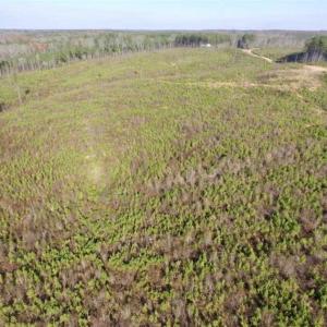 Photo of 114 acres of Recreational and Hunting Land For Sale in Lunenburg County VA!