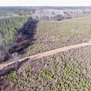 Photo of 114 acres of Recreational and Hunting Land For Sale in Lunenburg County VA!