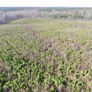 Photo of 114 acres of Recreational and Hunting Land For Sale in Lunenburg County VA!