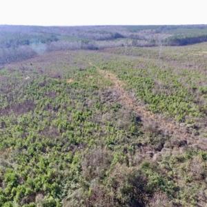 Photo of 114 acres of Recreational and Hunting Land For Sale in Lunenburg County VA!