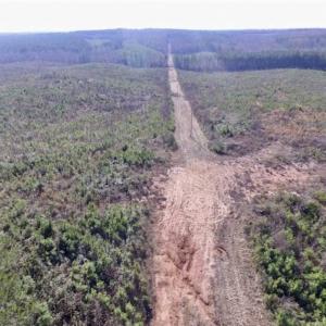 Photo of 114 acres of Recreational and Hunting Land For Sale in Lunenburg County VA!
