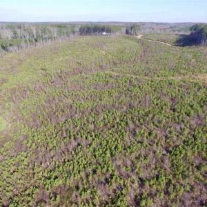 Photo of 114 acres of Recreational and Hunting Land For Sale in Lunenburg County VA!