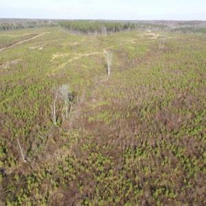 Photo of 114 acres of Recreational and Hunting Land For Sale in Lunenburg County VA!