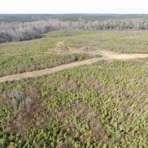 Photo of 114 acres of Recreational and Hunting Land For Sale in Lunenburg County VA!