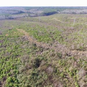Photo of 114 acres of Recreational and Hunting Land For Sale in Lunenburg County VA!