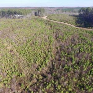 Photo of 114 acres of Recreational and Hunting Land For Sale in Lunenburg County VA!