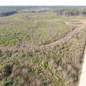Photo of 114 acres of Recreational and Hunting Land For Sale in Lunenburg County VA!