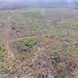 Photo of 114 acres of Recreational and Hunting Land For Sale in Lunenburg County VA!
