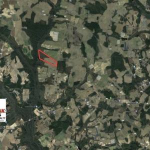 Photo of 69 acres of Hunting and Farmland For Sale in Robeson County NC!
