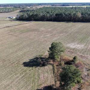 Photo of 69 acres of Hunting and Farmland For Sale in Robeson County NC!