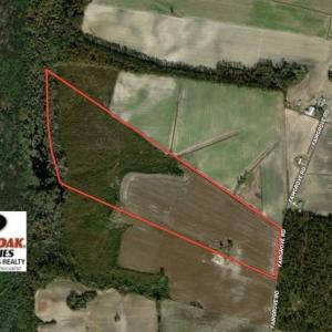 Photo of 69 acres of Hunting and Farmland For Sale in Robeson County NC!