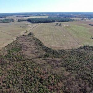 Photo of 69 acres of Hunting and Farmland For Sale in Robeson County NC!