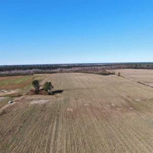 Photo of 69 acres of Hunting and Farmland For Sale in Robeson County NC!