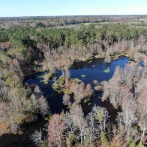 Photo of 69 acres of Hunting and Farmland For Sale in Robeson County NC!