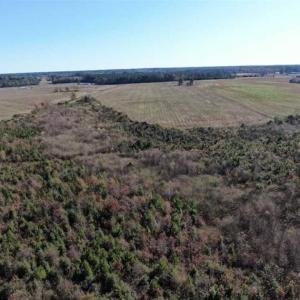 Photo of 69 acres of Hunting and Farmland For Sale in Robeson County NC!