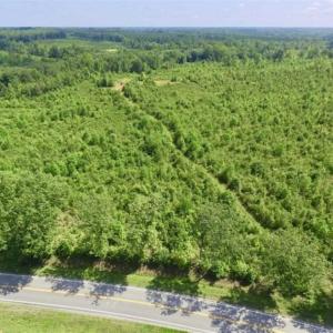 Photo of UNDER CONTRACT!!  49.5 Acres of Recreational and Hunting Land For Sale in Brunswick County VA!