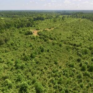 Photo of UNDER CONTRACT!!  49.5 Acres of Recreational and Hunting Land For Sale in Brunswick County VA!