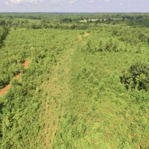 Photo of UNDER CONTRACT!!  49.5 Acres of Recreational and Hunting Land For Sale in Brunswick County VA!