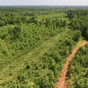 Photo of UNDER CONTRACT!!  49.5 Acres of Recreational and Hunting Land For Sale in Brunswick County VA!