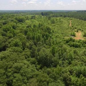Photo of UNDER CONTRACT!!  49.5 Acres of Recreational and Hunting Land For Sale in Brunswick County VA!