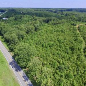Photo of UNDER CONTRACT!!  49.5 Acres of Recreational and Hunting Land For Sale in Brunswick County VA!