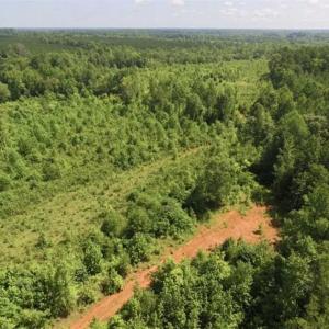Photo of UNDER CONTRACT!!  49.5 Acres of Recreational and Hunting Land For Sale in Brunswick County VA!