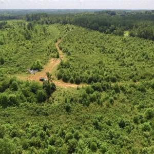 Photo of UNDER CONTRACT!!  49.5 Acres of Recreational and Hunting Land For Sale in Brunswick County VA!