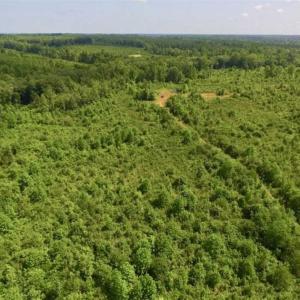 Photo of UNDER CONTRACT!!  49.5 Acres of Recreational and Hunting Land For Sale in Brunswick County VA!